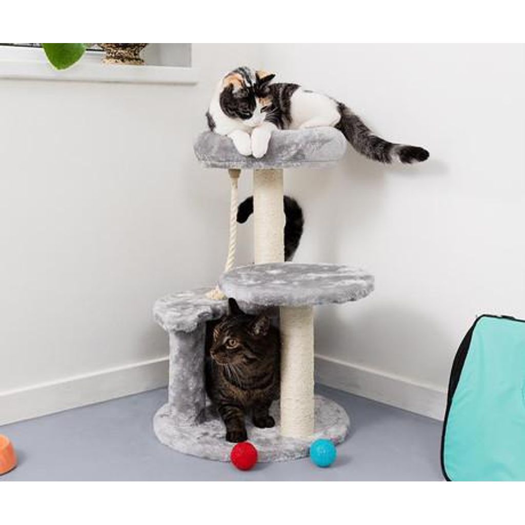 Pet Toys stablo za mačke i grebalica za mačke, 62x40x40cm, 3 razine