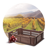 Vinogradarstvo